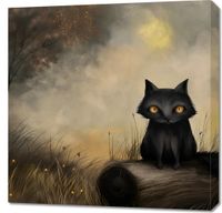 Obraz 70x70cm Czarny Kot
