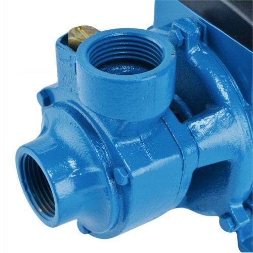 Pompa Ogrodowa HYDROFOROWA 900W - Wysoka Wydajność i IP68 do Czystej Wody na Arena.pl