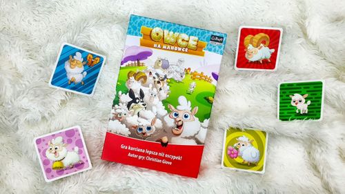 Gra Owce na manowce na Arena.pl