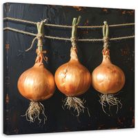 Obraz do kuchni restauracji baru jadalni, Cebula warzywa natura