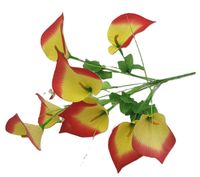 bukiet kwiaty kalie 10 kwiatów żółto-pomarańczowe 40 cm