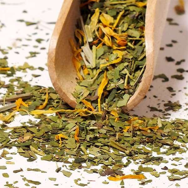 Verde Mate Green Sarsaparilla 0,5 kg zdjęcie 5
