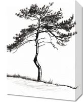 Obraz 30x40cm Samotna Sosna