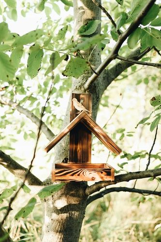 DREWNIANY karmnik dla PTAKÓW budka góralski POLSKI HIT DOMEK na Arena.pl