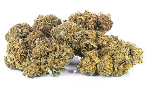 CBD SUSZ KONOPNY | AK 47 | PREMIUM 2g na Arena.pl