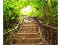 product-compare-58647024