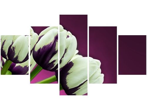 75CM 120 OBRAZ 5 ELEM FIOLETOWE TULIPANY ŚCIENNY DRUK na Arena.pl