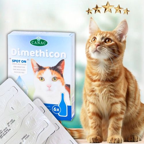 PREPARAT NA PCHŁY I KLESZCZE DLA KOTA NA PÓŁ ROKU KROPLE 6 SZT DIMETHICON na Arena.pl