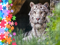 Puzzle tradycyjne Zwierzęta - Tygrys