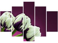 105CM 150CM OBRAZ 5 ELEM FIOLETOWE TULIPANY DRUK