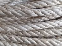 product-compare-61065422