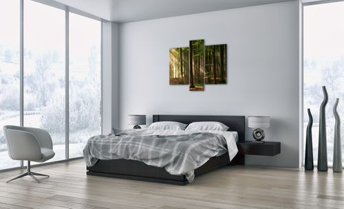 Obraz Na Płótnie - Las Drzewa Chrust  - 95X80 Cm - Cb95X80-3628 na Arena.pl