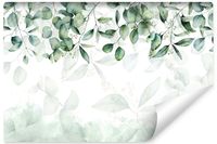 Fototapeta Do Sypialni Salonu Delikatne LIŚCIE Natura Rośliny 180cm x 120cm