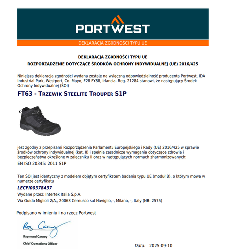 Buty Robocze Oddychające Z Podnoskiem Trzewik Steelite Trouper S1P Black 41 na Arena.pl