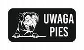 GRAWER Tabliczka laminat 20x10 cm UWAGA PIES Bokser boxer różne wzory