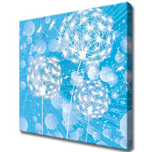Obraz 40X40 Dmuchawce Abstrakcja Błękitne Tle na Arena.pl