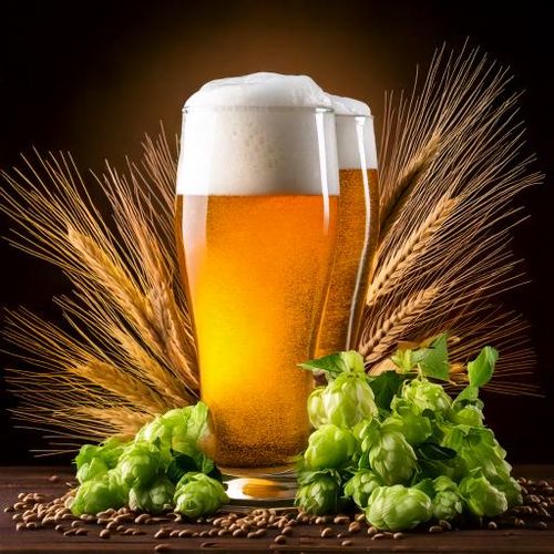 Gozdawa - Jasny Ekstrakt 1,7 kg - LIGHT na Arena.pl