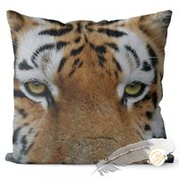 product-compare-41125121