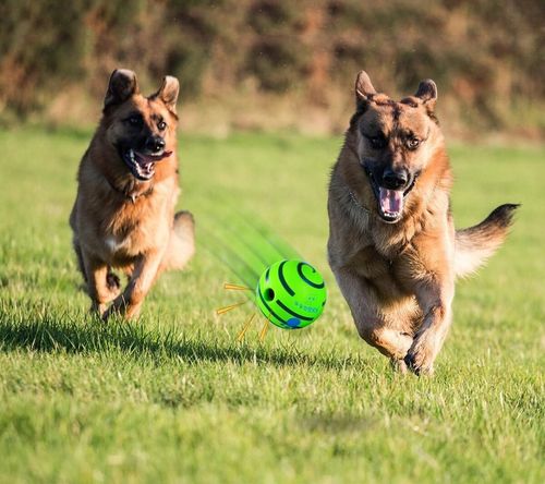 Interaktywna Zabawka dla Psa Piłka z Dźwiękiem Wytrzymała Dużych Ras Psów na Arena.pl