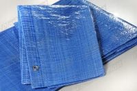 Plast Plandeka 60 g/m2 12 x 6m