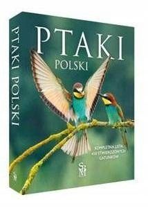 Ptaki Polski zdjęcie 1