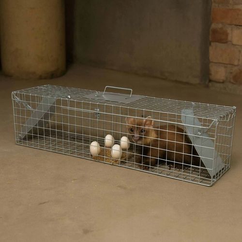 DUŻA PUŁAPKA NA KUNY SZCZURY LISY WYDRY ŁASICE ŻYWOŁAPKA ŁAPKA na Arena.pl