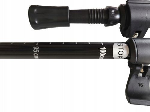 KIJKI DO NORDIC WALKING KIJE TREKKINGOWE DLA DZIECI SKŁADANE REGULOWANE x2 na Arena.pl