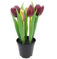 TULIPANY SILIKONOWE W DONICZCE TULIPAN GUMOWY FIOLETOWY 5szt