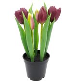 TULIPANY SILIKONOWE W DONICZCE TULIPAN GUMOWY FIOLETOWY 5szt