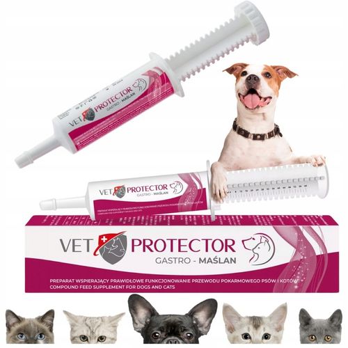 VET PROTECTOR - GASTRO MAŚLAN 60ml - preparat przeciwbiegunkowy dla psa na Arena.pl
