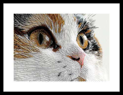 Plakat 29,7x21cm Nitkowany Kot na Arena.pl