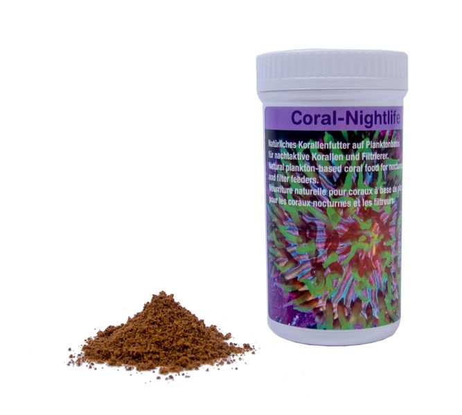 Preis Coral Nightlife zdjęcie 1