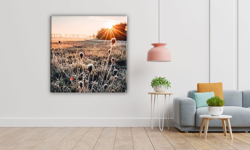 OBRAZ NA PŁÓTNIE 075 Oset 50x50cm zdjęcie 5