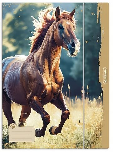 TECZKA RYS.A4 Z GUM.ANIMALS 0501 zdjęcie 1