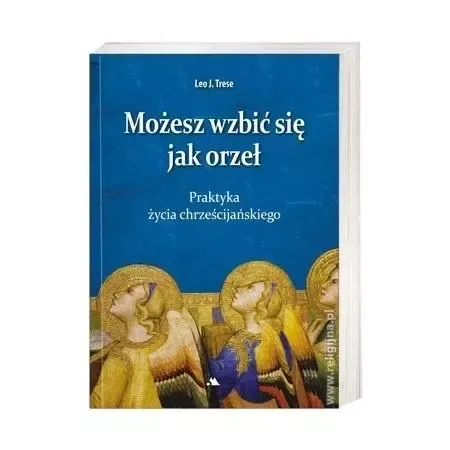 Możesz wzbić się jak orzeł zdjęcie 1