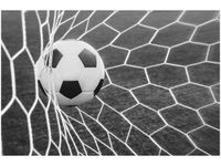 60X40CM PIŁKA BRAMCE OBRAZ