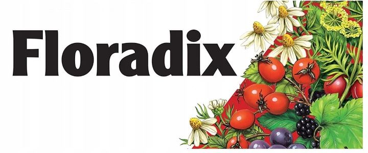 Floradix Magnez płynna formuła 250ml Dla silnych mięśni Zmęczenie Znużenie zdjęcie 7