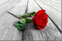 product-compare-58694273