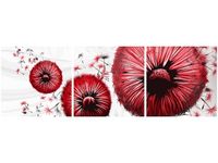 90 80CM OBRAZ T3 ELEM CZERWONE DMUCHAWCE DRUK ŚCIENNY