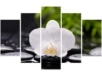70 100CM OBRAZ 5 ELEM BIAŁA ORCHIDEA DRUK PŁÓTNO