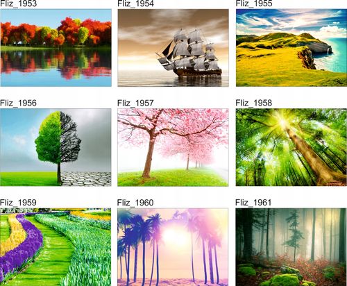 FOTOTAPETA KRAJOBRAZ WIDOK JESIEŃ PARK DRZEWA LAS na Arena.pl