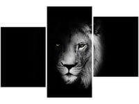 OBRAZ DUCH MROK LEW CIEŃ CZARNO-BIAŁY