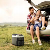LODÓWKA SAMOCHODOWA TURYSTYCZNA PRZENOŚNA COOLER I GRZANIE 10L 12V/24V