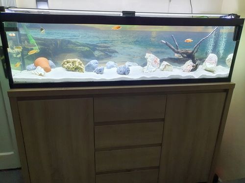 24kg Piasek Kwarcowy Biały do Akwarium 0,5-1mm na Arena.pl