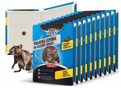 SILNY LEP PUŁAPKA KLEJ ŁAPKA NA SZCZURY MYSZY GRYZONIE NO PEST BARDZO na Arena.pl