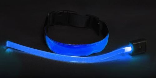 Obroża LED niebieska - S na Arena.pl