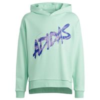 Bluza adidas D Hoody Jr HR5825 176 cm