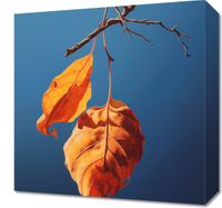 Obraz 40x40cm Ostatni Oddech Lata