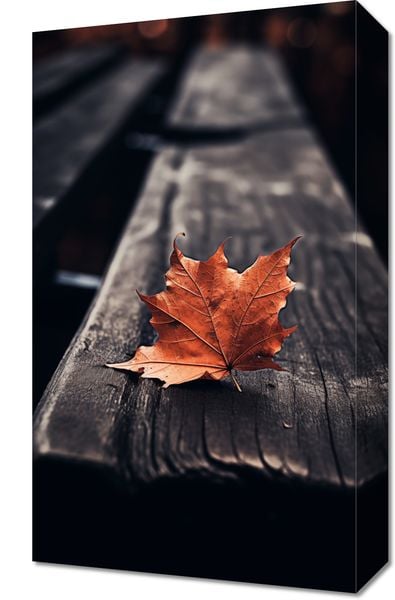 Obraz 30x50cm Pojedynczy Liść zdjęcie 1
