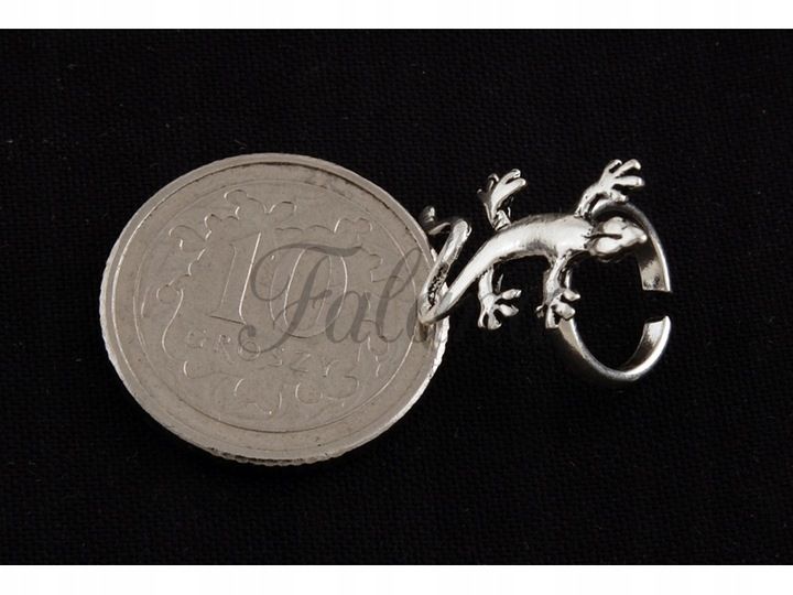 NAUSZNICA GEKON JASZCZUR JASZCZURKA GAD kn032 zdjęcie 2